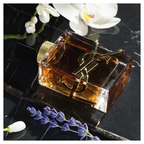 ysl intense Chemist Warehouse